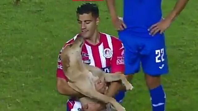 Germán Berterame se encargó que sacar a la perrita.