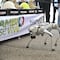 Ricardo Gallardo reforzará la seguridad en la FENAPO 2026 con perros robot