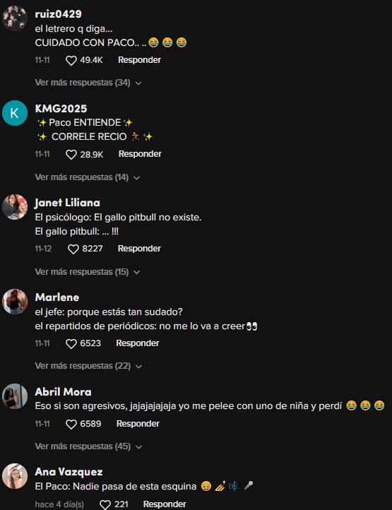 Reacciones al gallo que no deja pasar a los intrusos
