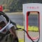 AMLO fue sensato al rectificar sobre Tesla en Nuevo León: Federico Arreola