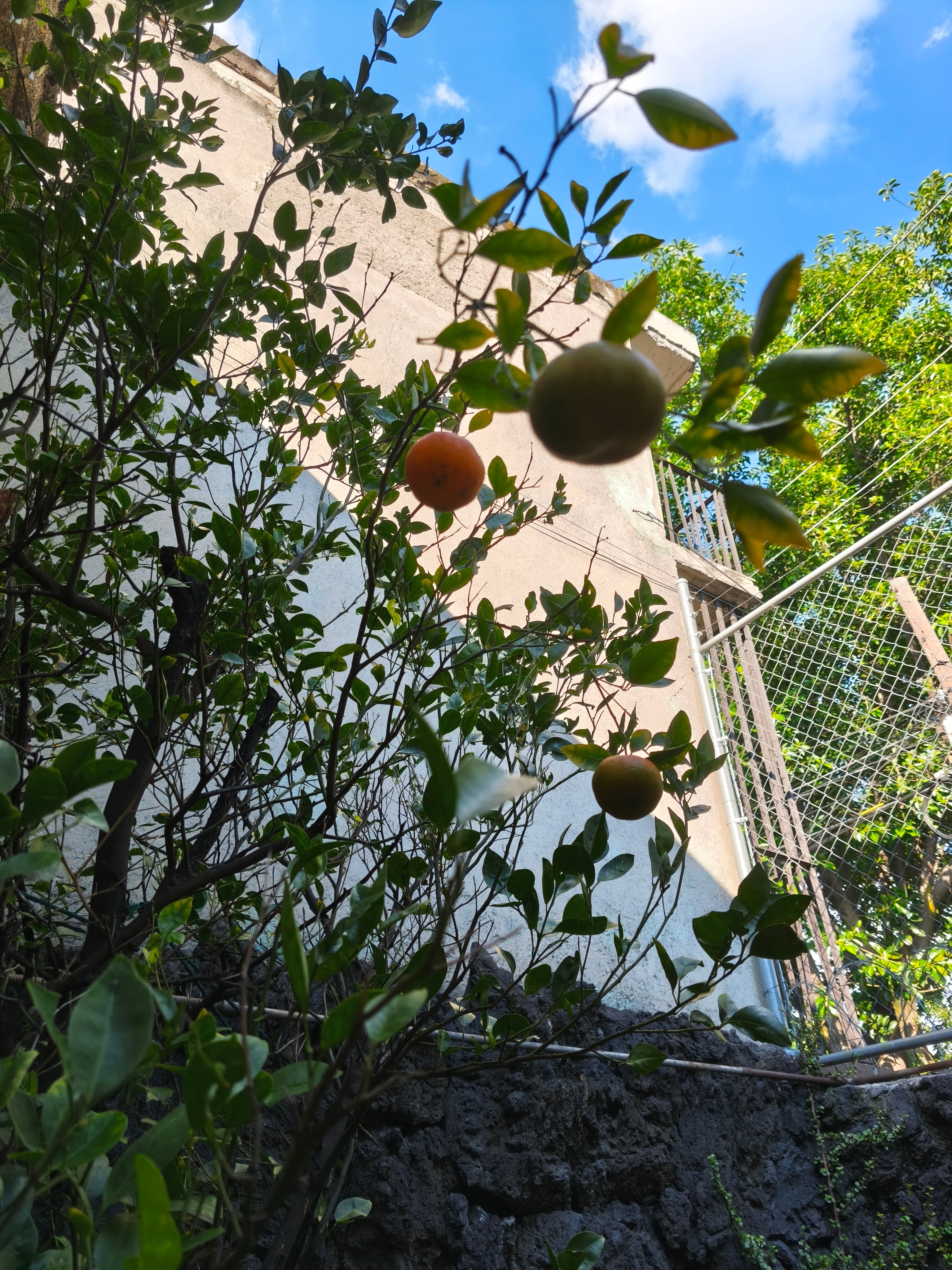 Foto tomada con el Xiaomi 15T