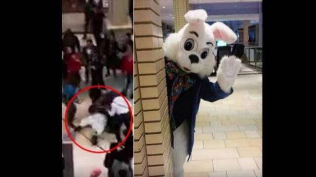 Conejo de pascua protagoniza pelea.