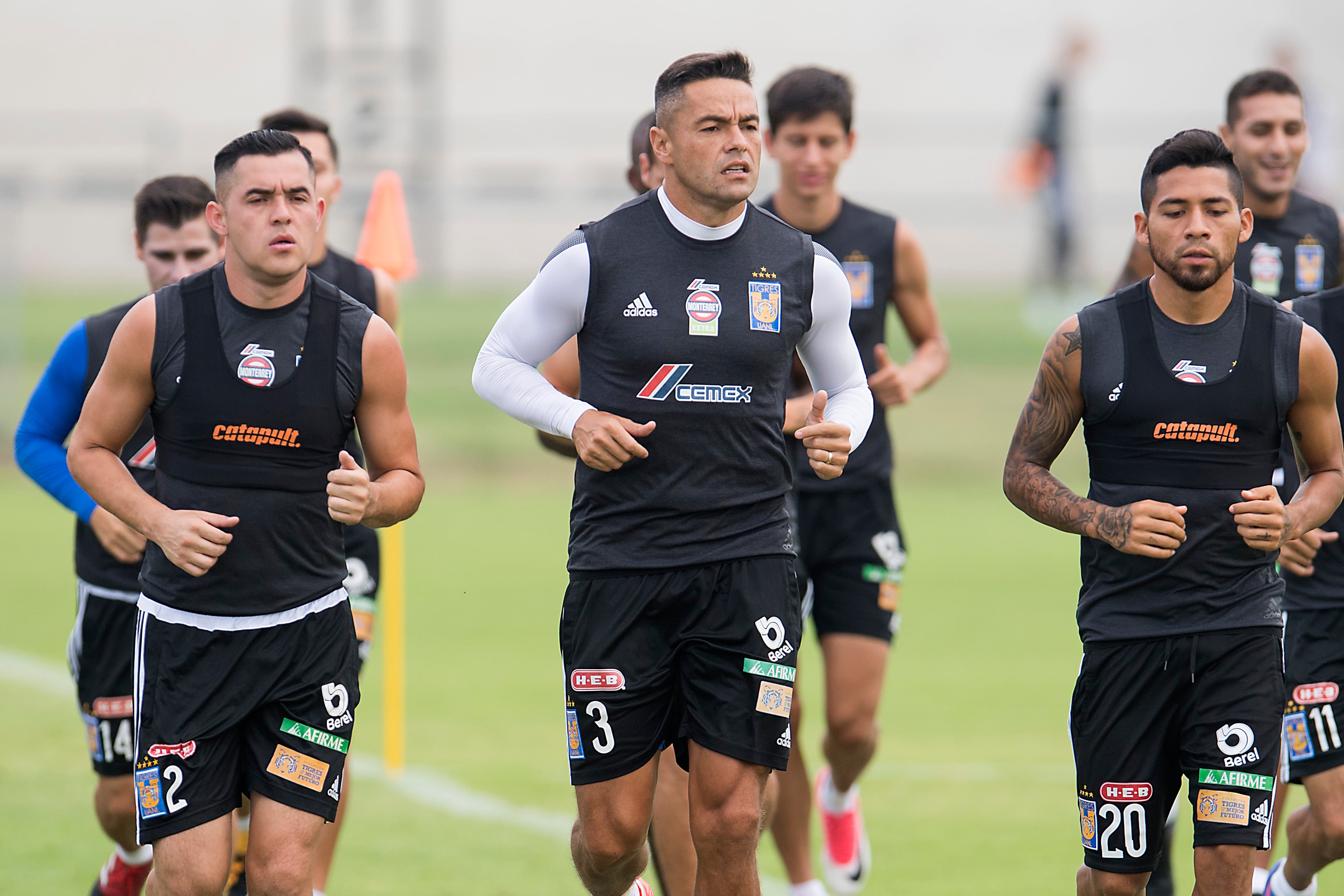 Tigres