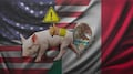 México suspende importaciones porcinas de Estados Unidos por brote de Aujeszky