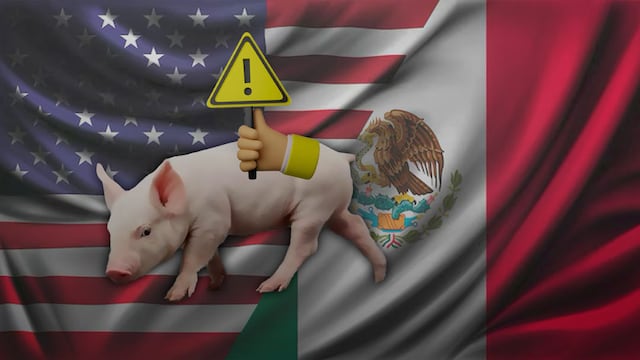 México suspendió importaciones tras detectarse brotes de la enfermedad de Aujeszky granjas de Iowa y Texas