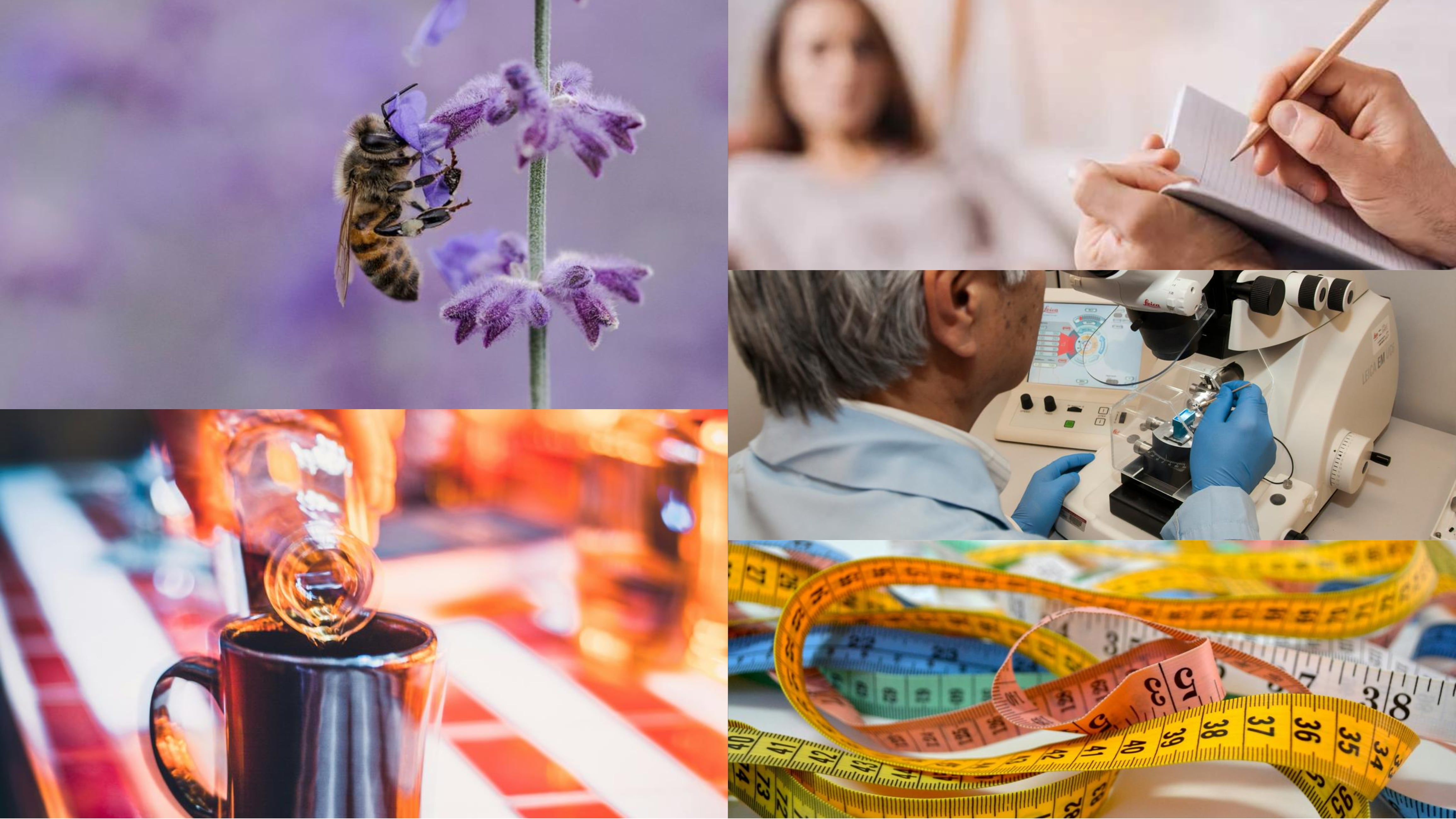 ¿Qué se celebra el 20 de mayo? Hoy es el Día Mundial de las Abejas, Día Internacional del Borracho, Día del Psicólogo y más efemérides