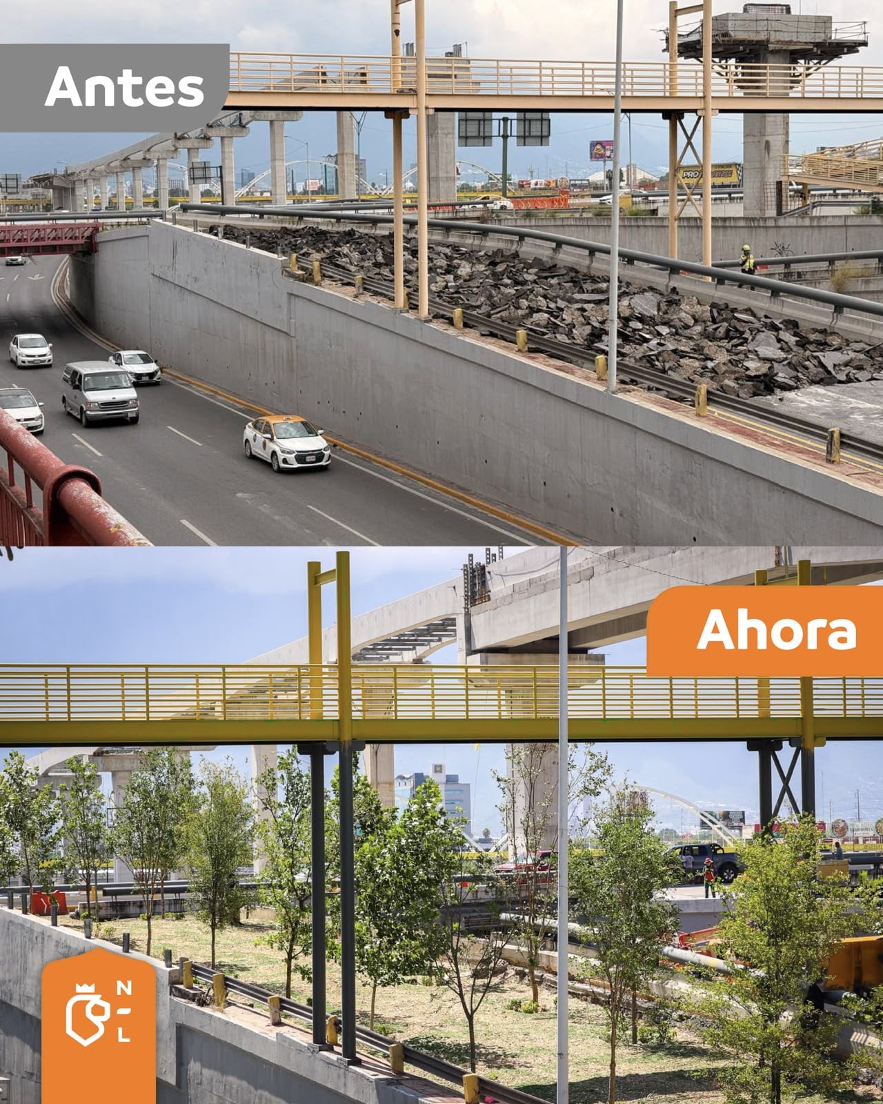 Bosques Ciudadanos planta más de 1.1 millones de árboles en Nuevo León.