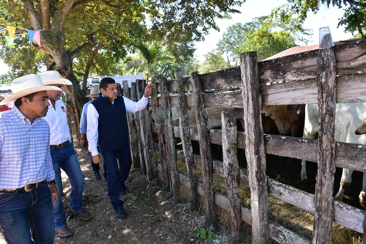 Gobierno de Javier May fortalece ganadería con Crédito a la Palabra