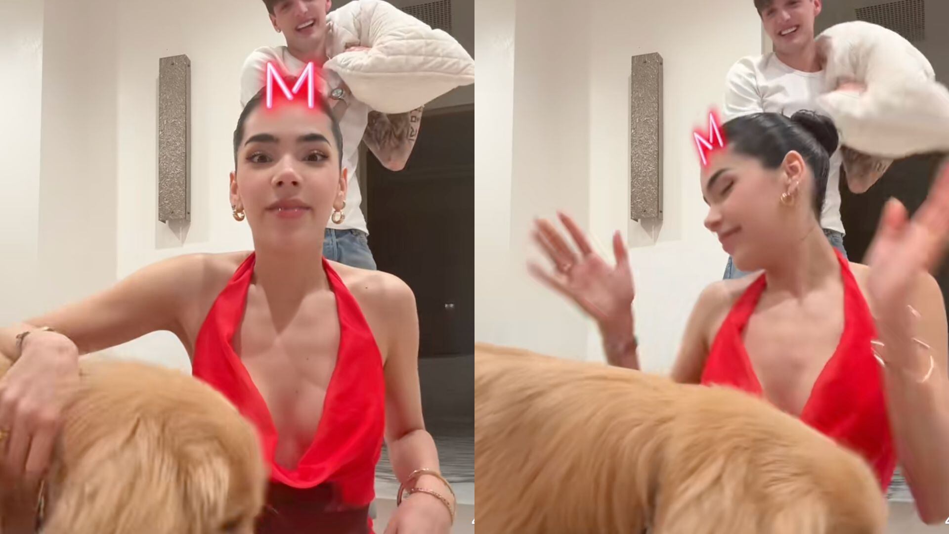 El perro que Peso Pluma regaló a Hannah Howell ahora convive con Kenia Os