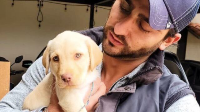 Luis Caballero denuncia envenenamiento de perros