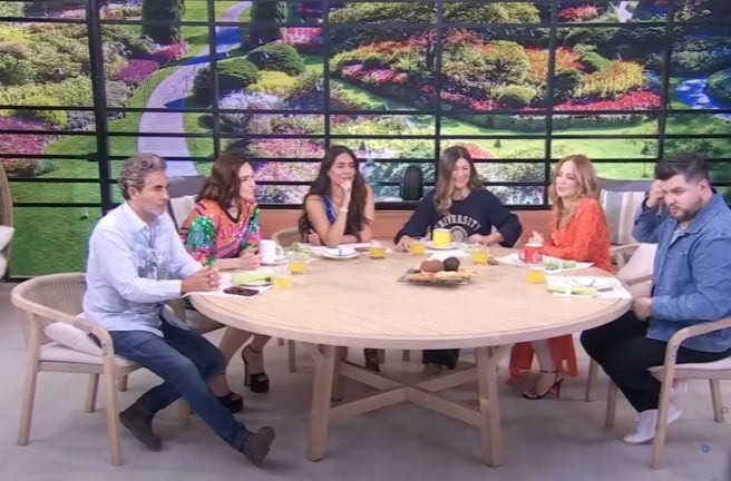 Programa Hoy