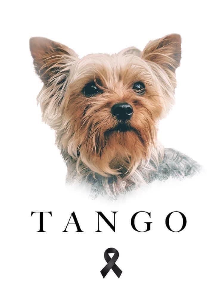 Tango