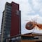 Chinches en la UNAM dejan su primera víctima; reportan abejas muertas por fumigaciones