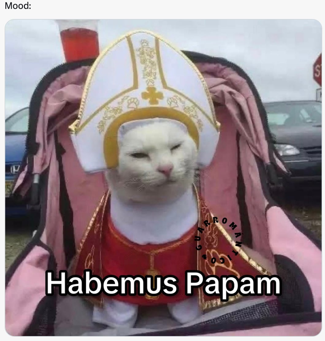 Los memes del Habemus papam tras la elección del nuevo papa