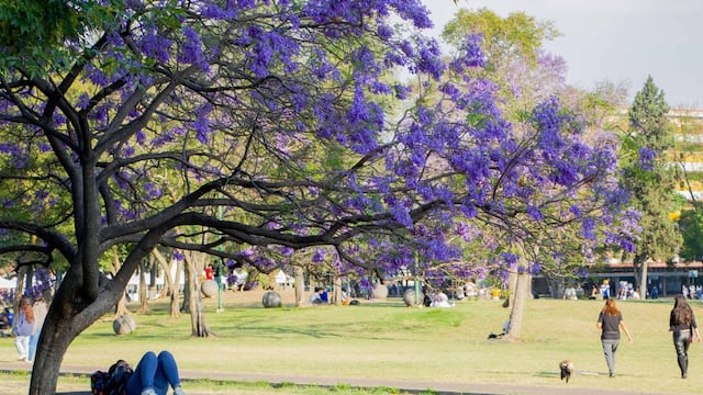Ciudad Universitaria
