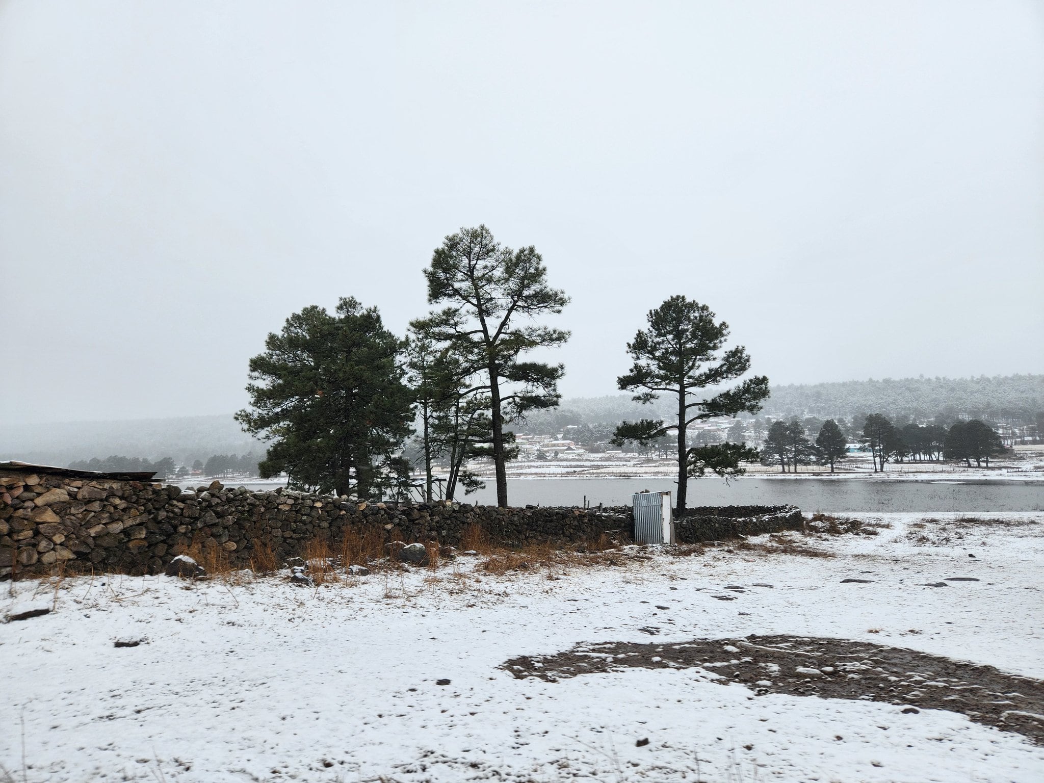 La Sierra de Chihuahua se pintó de blanco por la nieve y hace recordar a Aspen
