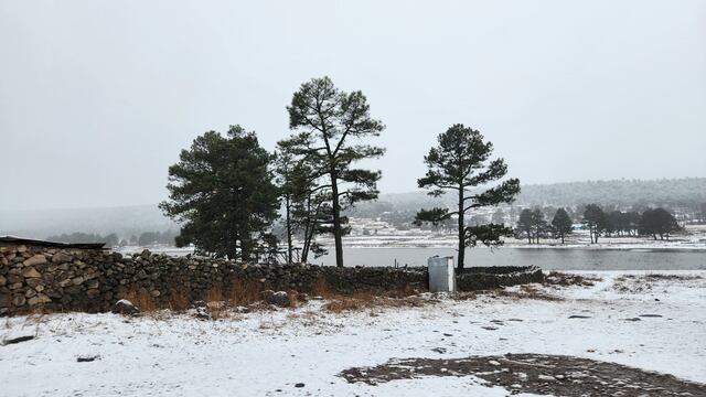 La Sierra de Chihuahua se pintó de blanco por la nieve y hace recordar a Aspen