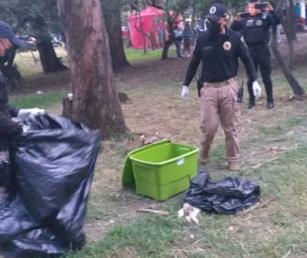 Denuncian perritos asesinados en Bosque de Nativitas