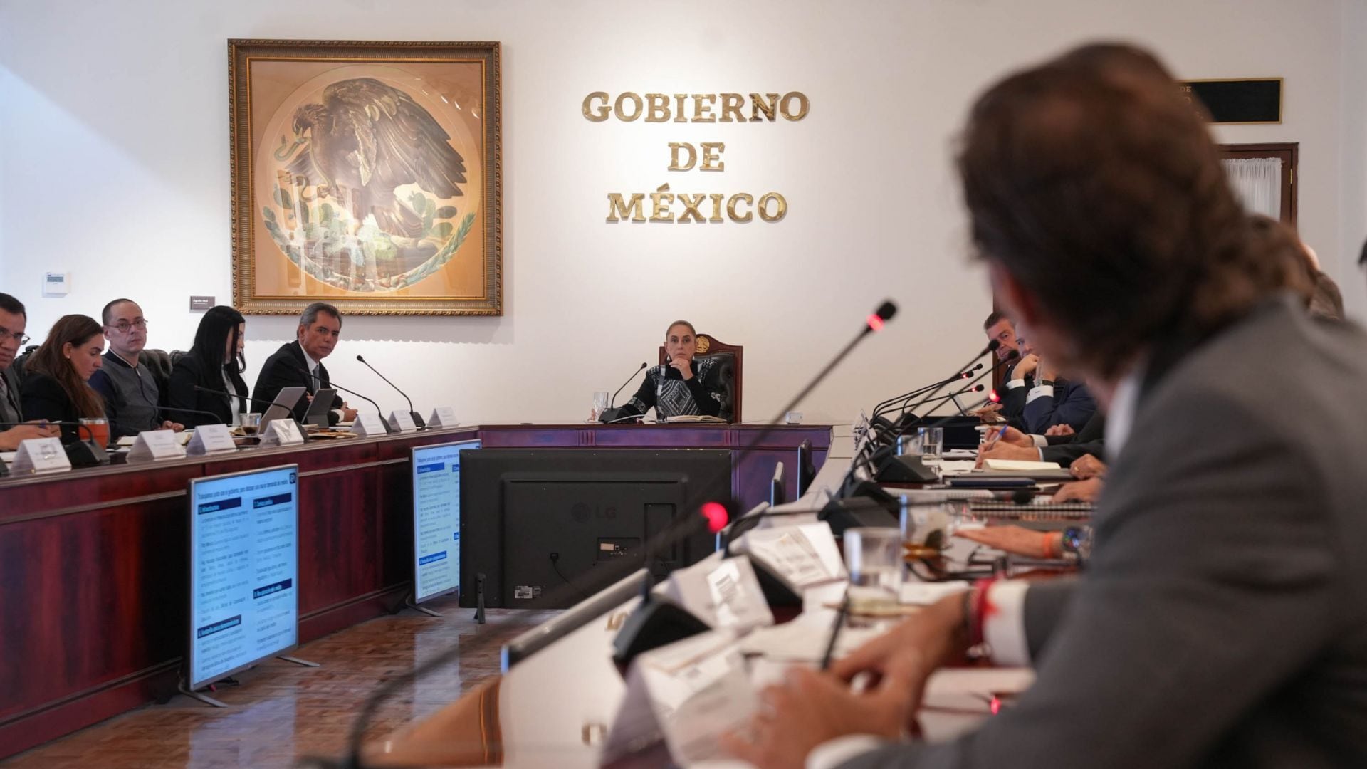 ¿Por qué soy presidencialista?