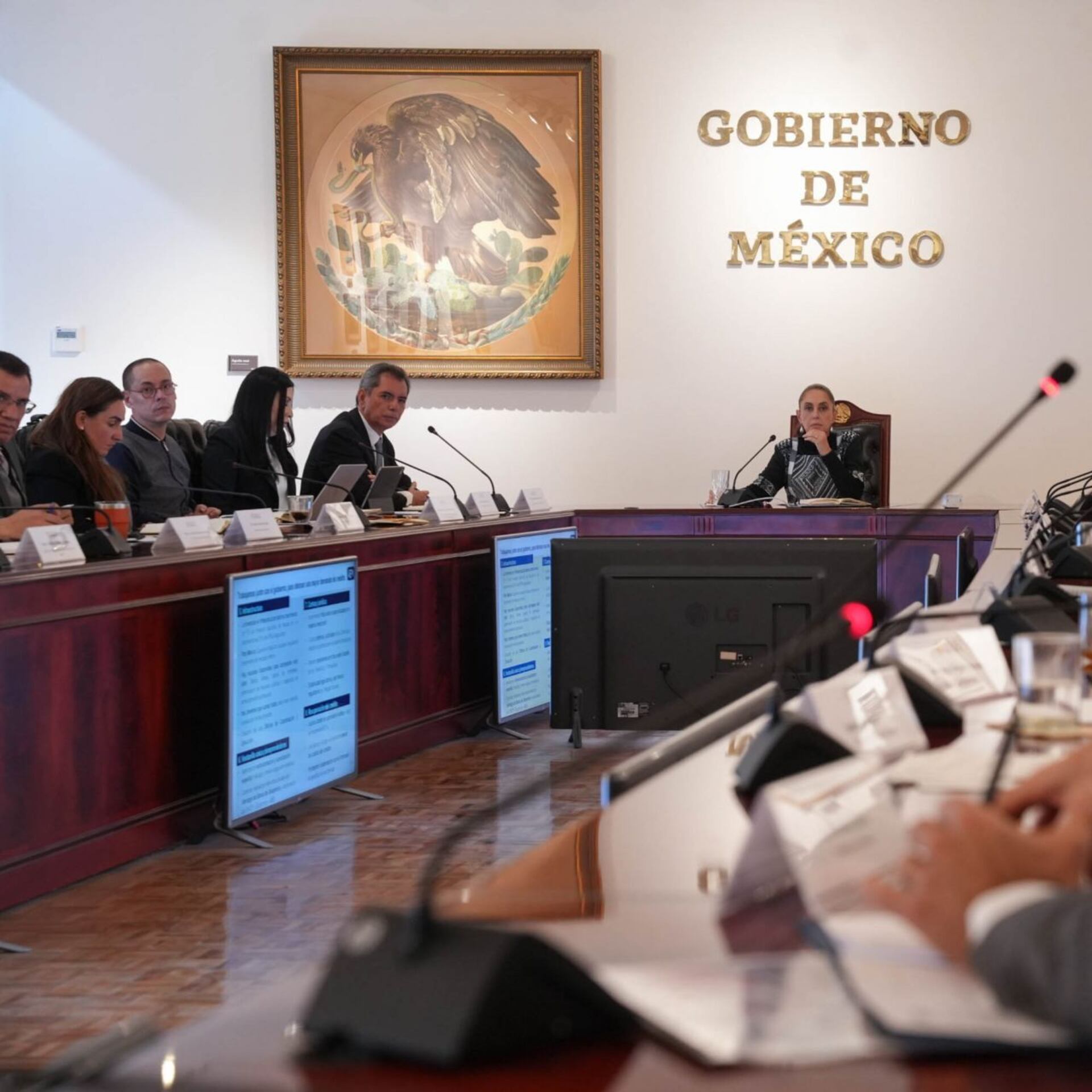 ¿Por qué soy presidencialista?