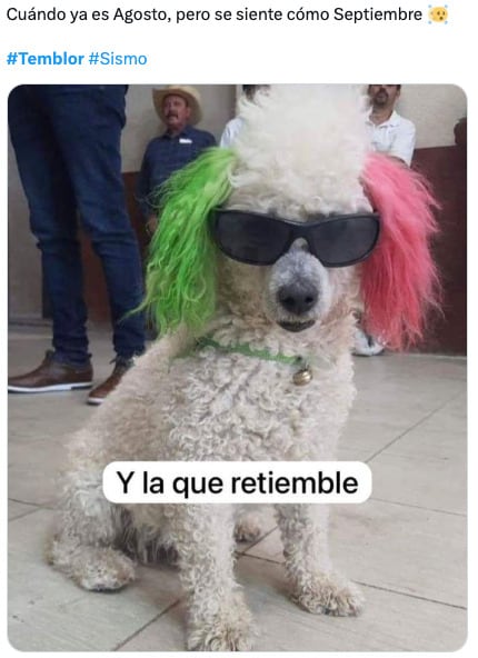 Memes de la Alerta Sísmica de este 2 de agosto