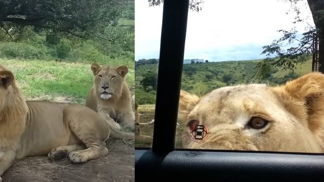 León abre la puerta de su auto