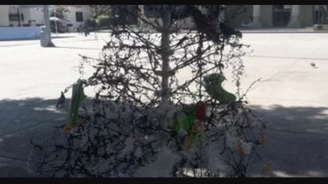 Árbol de la Justicia. Incendiado.