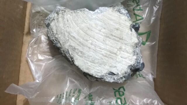 compra go pro por amazon