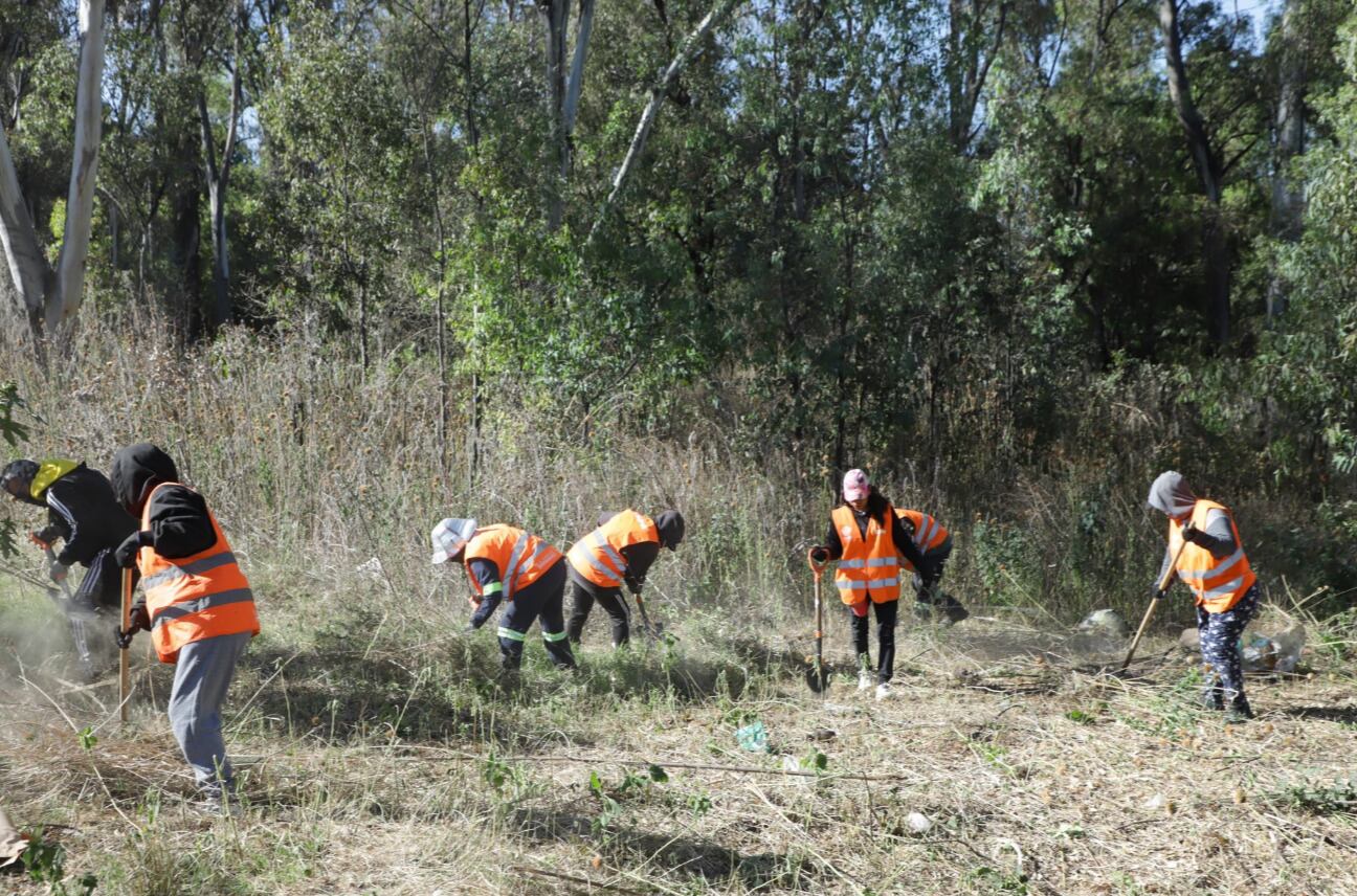 Alejandro Armenta encabeza faena de limpieza