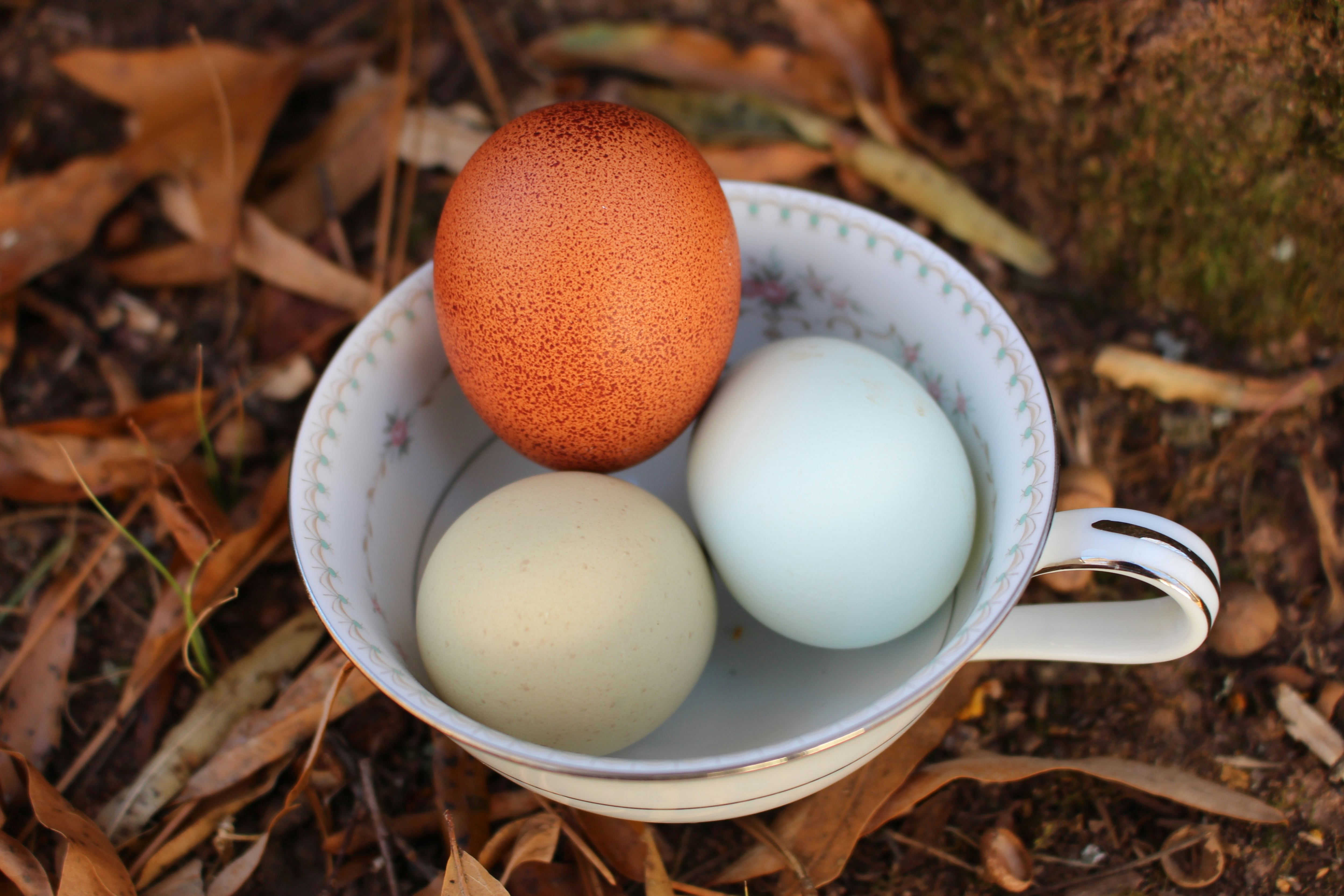 Este 19 de marzo se celebra Ostara