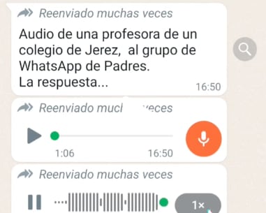 Captura de los audios de la maestra y el padre de familia