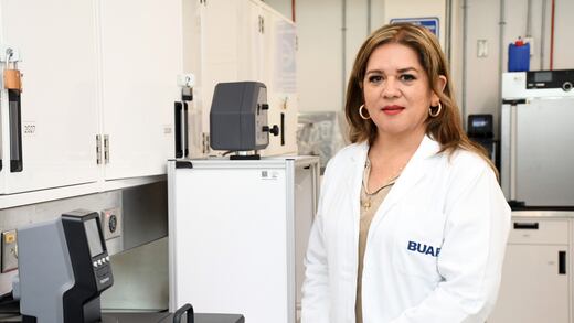 Investigadores de la BUAP desarrollan productos a partir de una planta para prevenir la diabetes