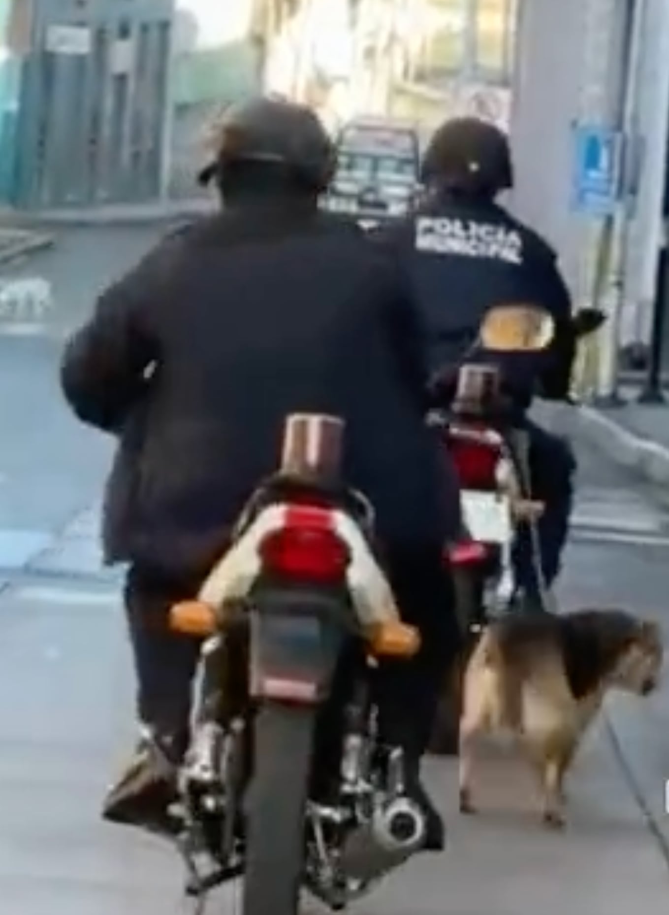 Captan a policías de Veracruz transitando con un perro amarrado a su motocicleta