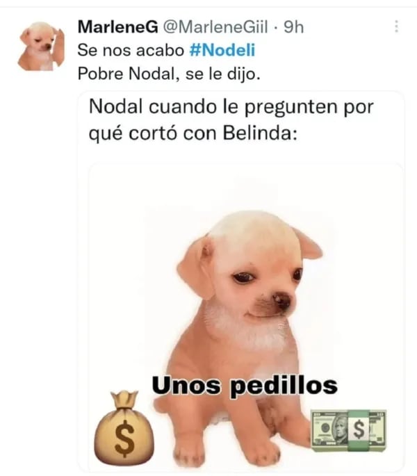 ’Kesi Kesi’ se llama el perrito del meme “unos pedillos”