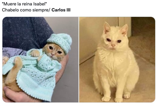 memes del Rey Carlos III