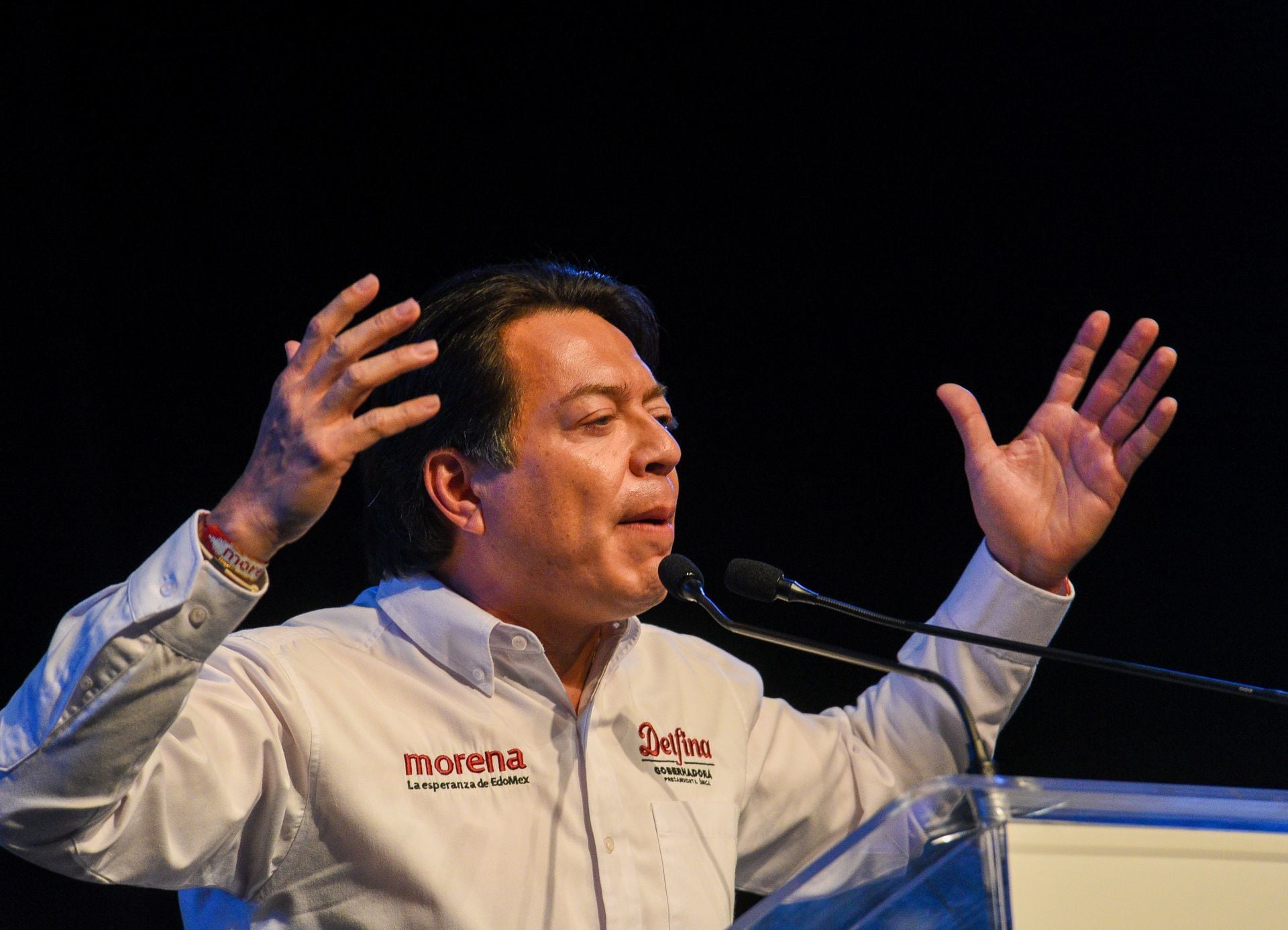 Mario Delgado, dirigente nacional de Morena