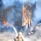 ¿Qué pasa en la autopista México-Querétaro hoy miércoles? Se incendia tráiler tras choque con varios autos