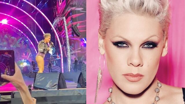 Un fan de Pink le avienta las cenizas de su mamá y así de desconcertada quedó (VIDEO)