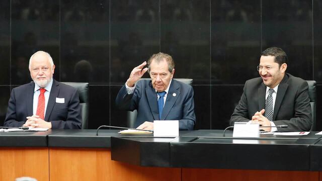 Diputado Porfirio Muñoz Ledo.