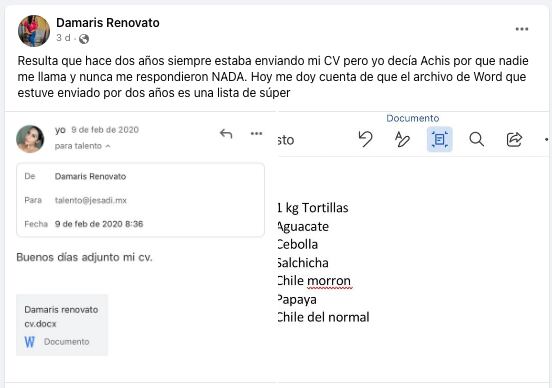 estaba enviando su lista del súper como CV