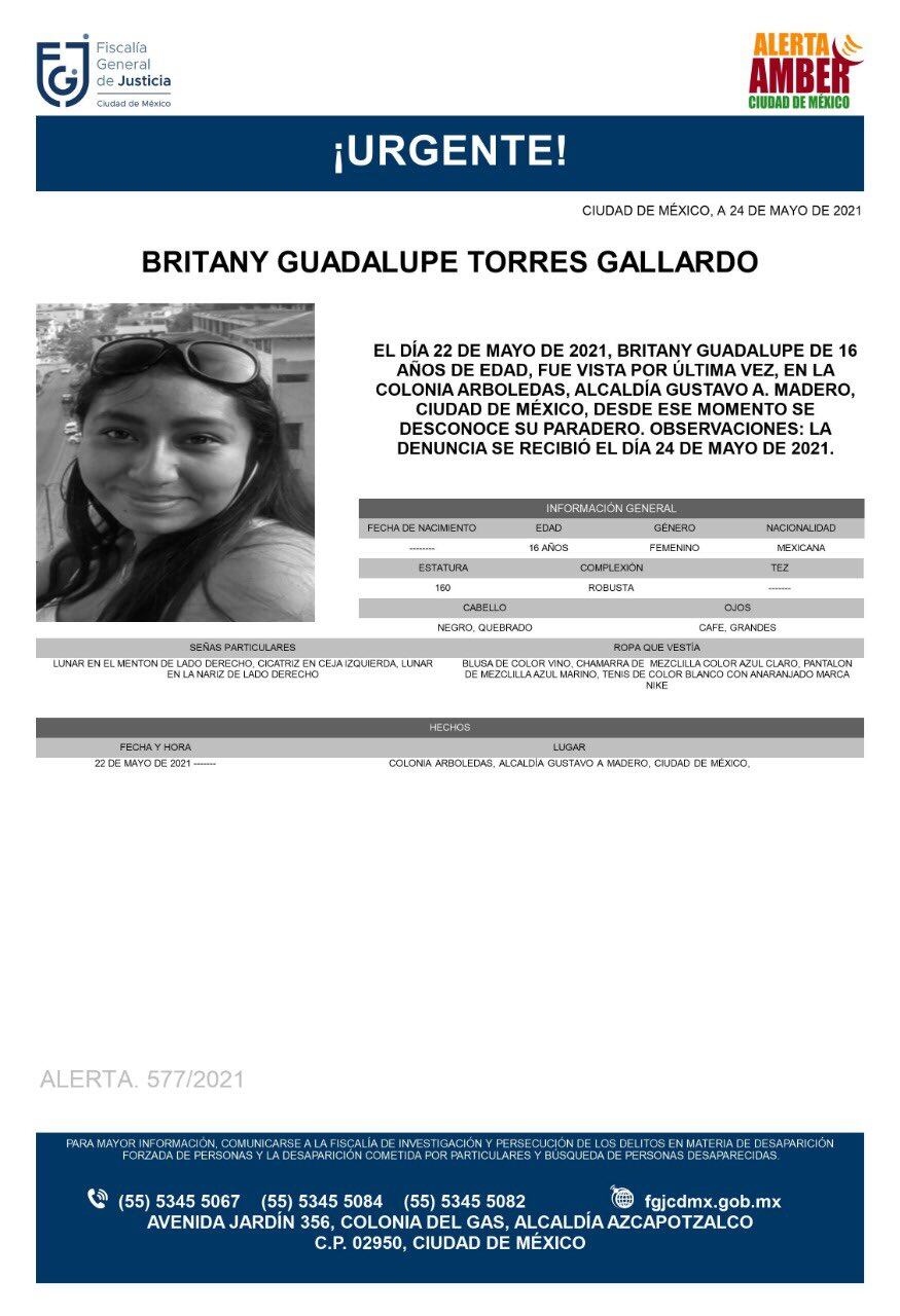 Ficha de búsqueda de Britany