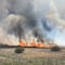Incendios en CDMX: Reportan fuerte siniestro en Xochimilco cerca del Mercado de las Flores