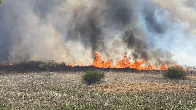 Icendio CDMX cerca del Mercado de las Flores, Xochimilco