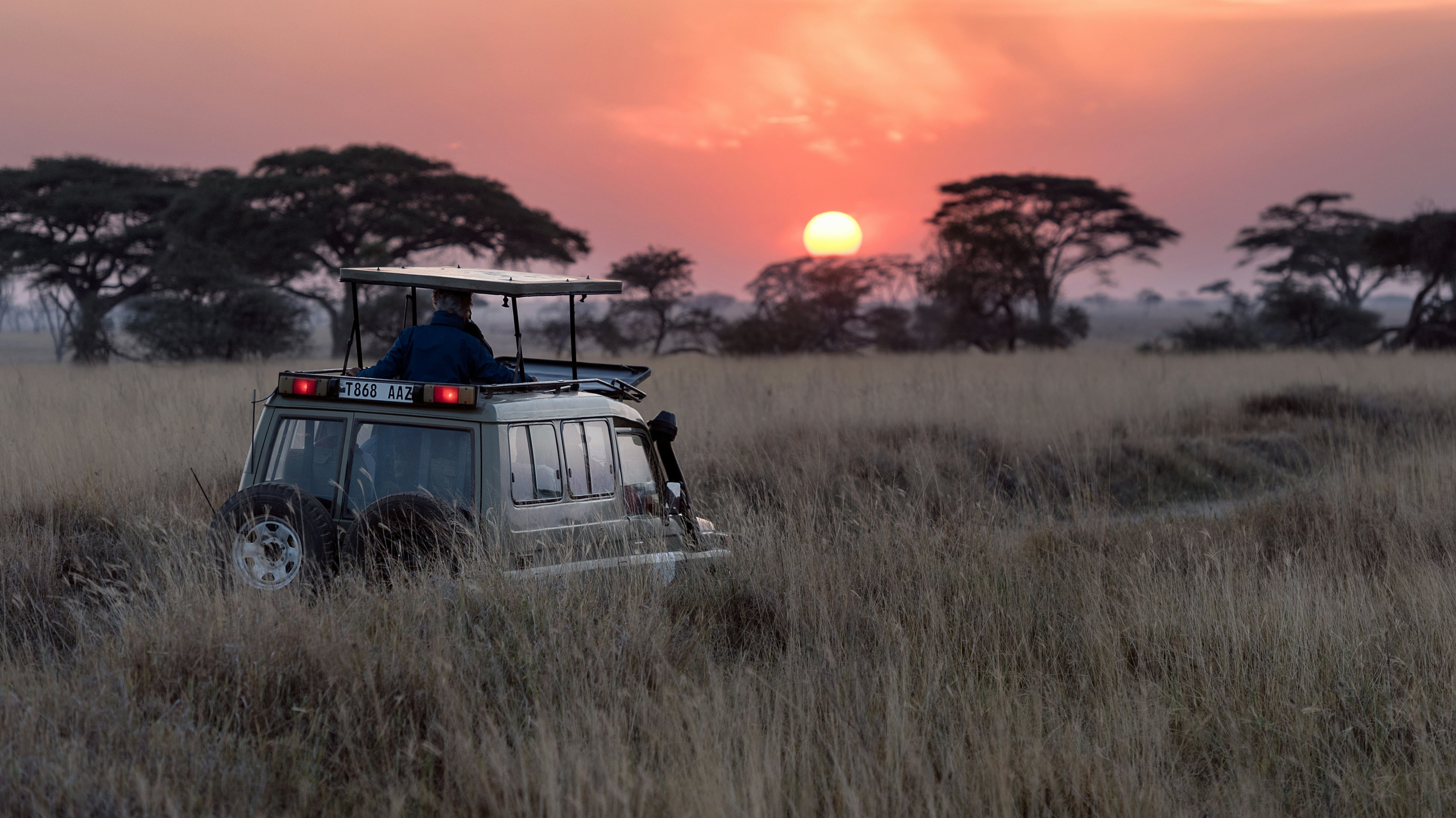 Nuevo hallazgo en África prueba que criaturas “no identificadas” habitaron la Tierra