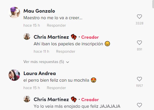 Reacción al perro le roba la mochila a estudiante y no quiere devolvérsela