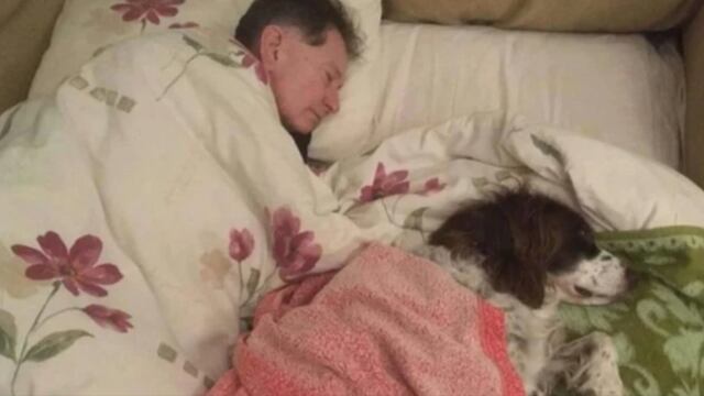 Familia se turna para dormir con Spike