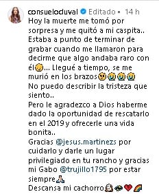 Consuelo Duval comparte estar de luto por la muerte de su perro Caspita.