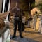 VIDEO: Le llevan serenata a un gato y TikTok envidia que sea tan consentido