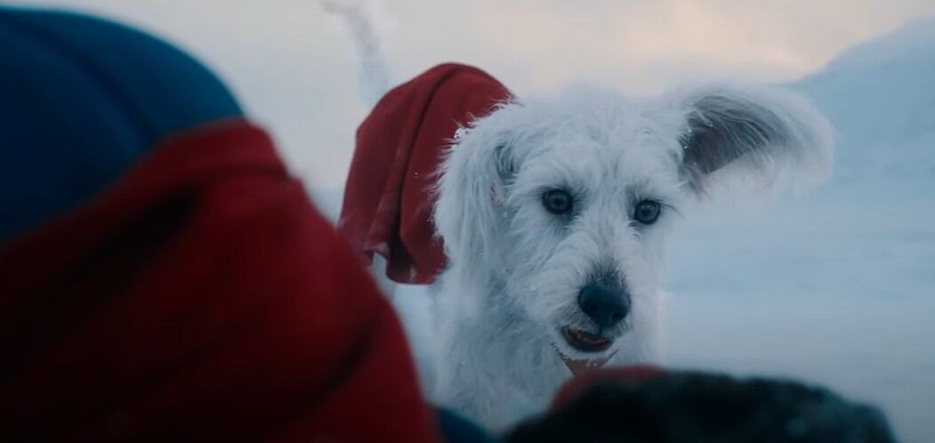 Krypto en Superman