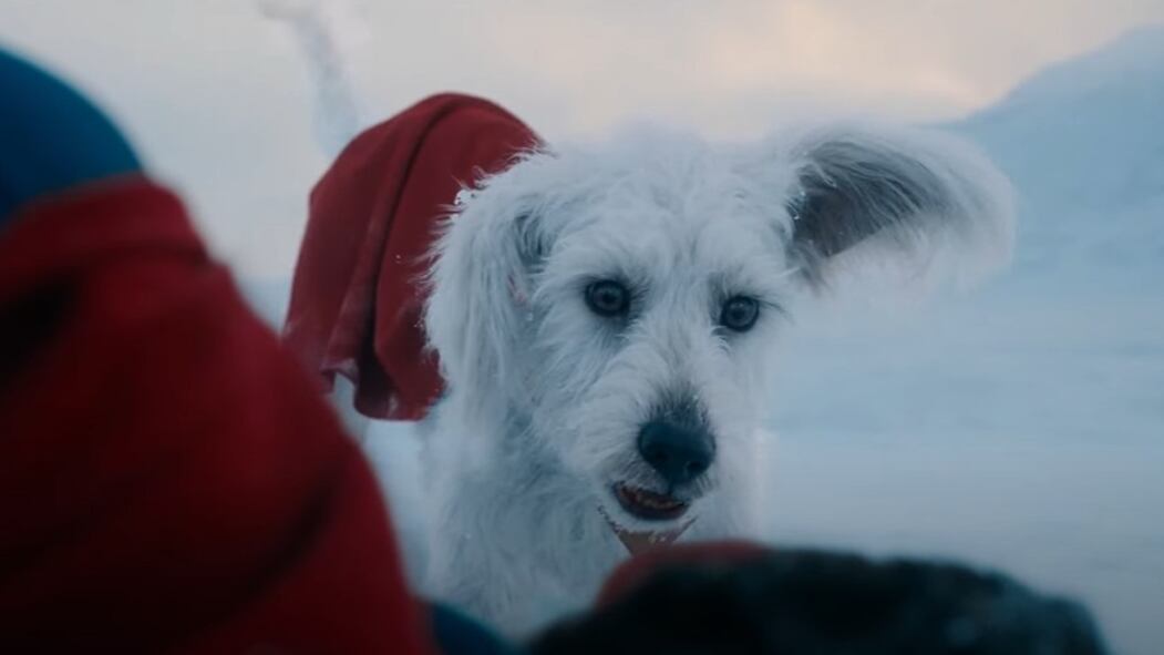 La serie animada de Krypto de Superman que se estrenaría, según James Gunn
